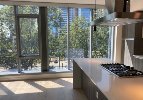 Buying a Condo in Seattle Condo in Seattle Luxury Condominium New Condominium Seattle Condo