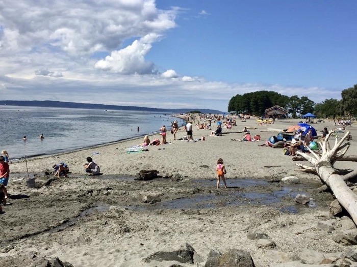 The Seattle The Golden Gardens Park